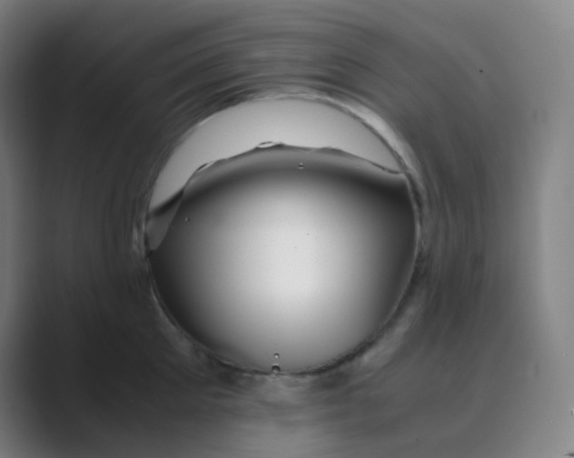 X0000088700905200706282020