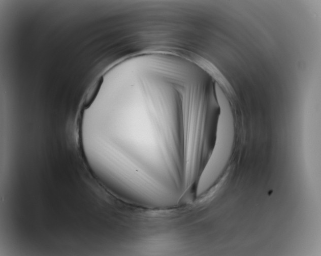 X0000088700908200706282020