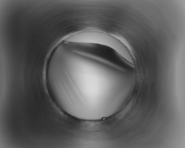 X0000088700910200706282020