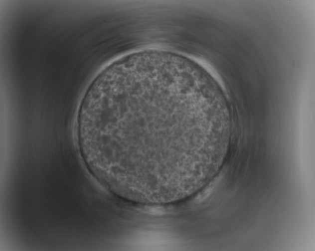 X0000088700911200706282020