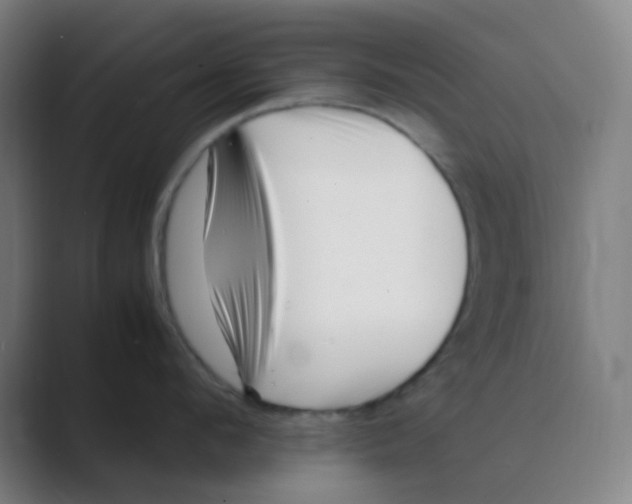 X0000088700912200706282020