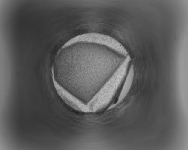 X0000088700913200706282020