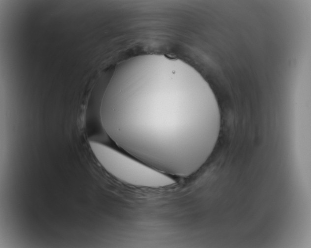 X0000088700914200706282020