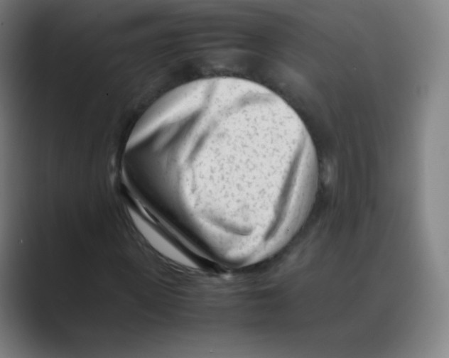 X0000088700915200706282020