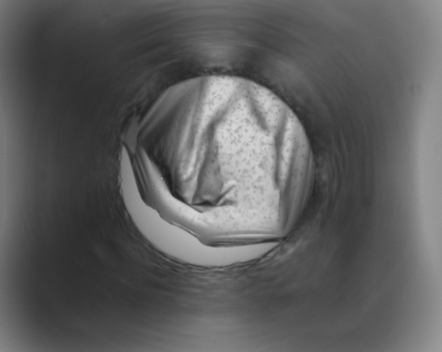 X0000088700916200706282020