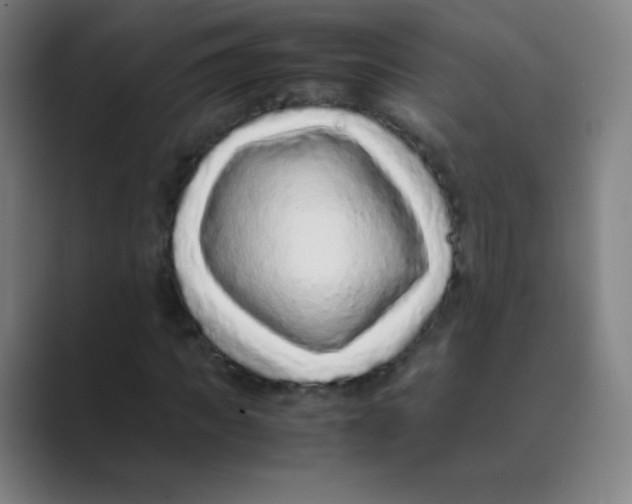 X0000088700917200706282020