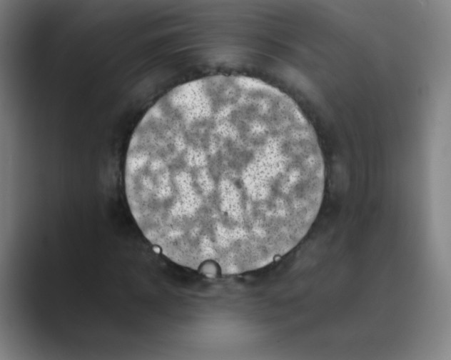 X0000088700918200706282020