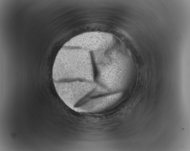 X0000088700919200706282020