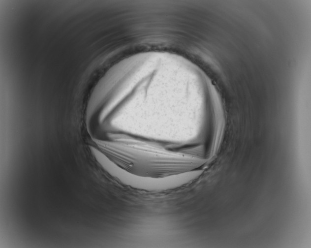 X0000088700920200706282020