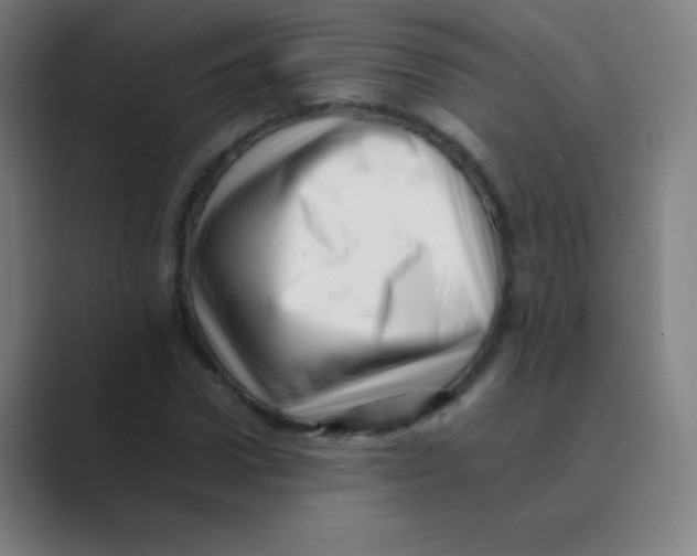 X0000088700922200706282020