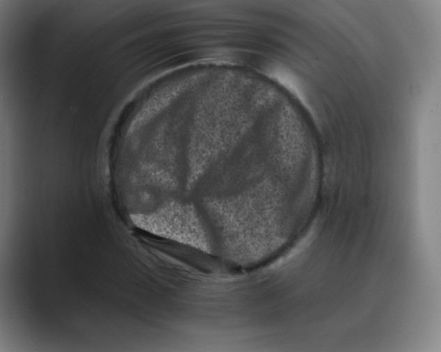 X0000088700923200706282020