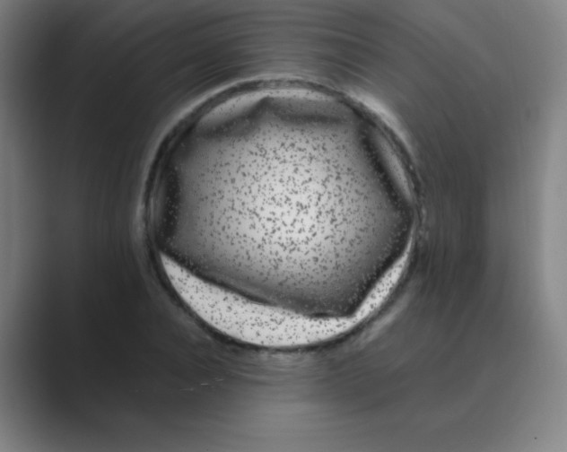 X0000088700928200706282020