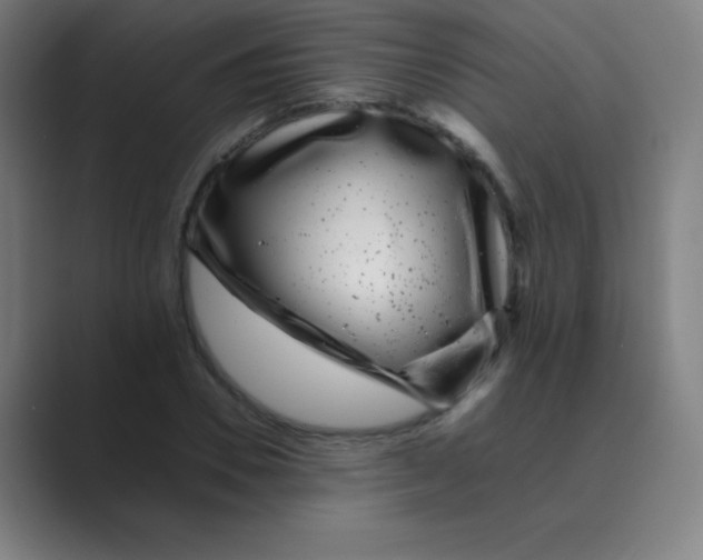 X0000088700930200706282020