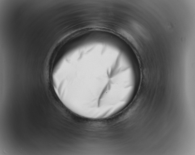 X0000088700931200706282020