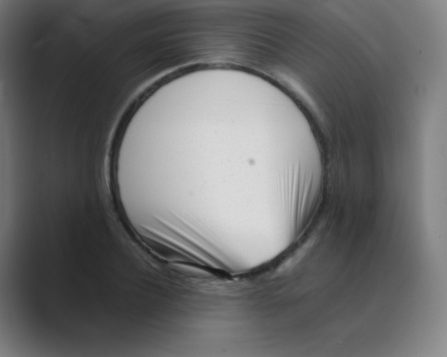 X0000088700932200706282020