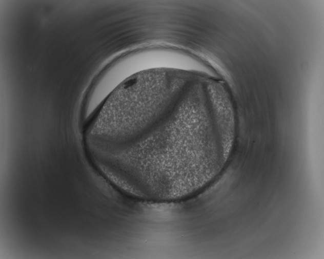 X0000088700934200706282020