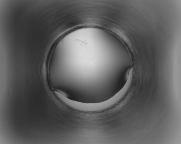 X0000088700936200706282020