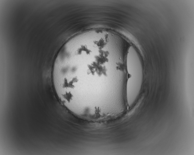 X0000088700937200706282020