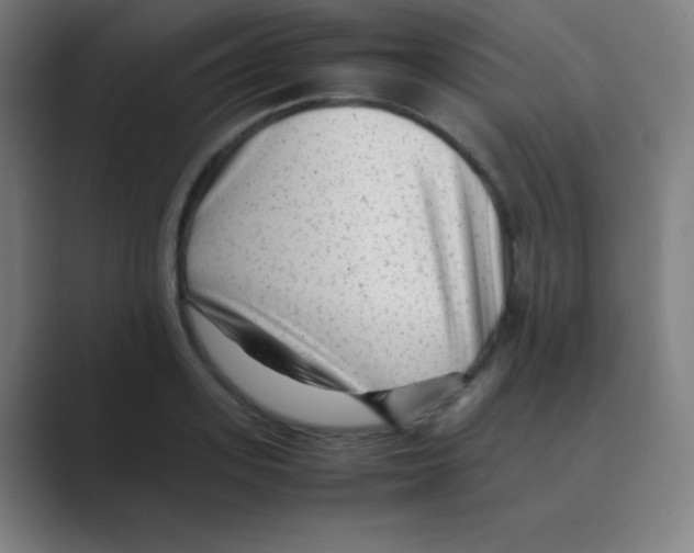 X0000088700939200706282020