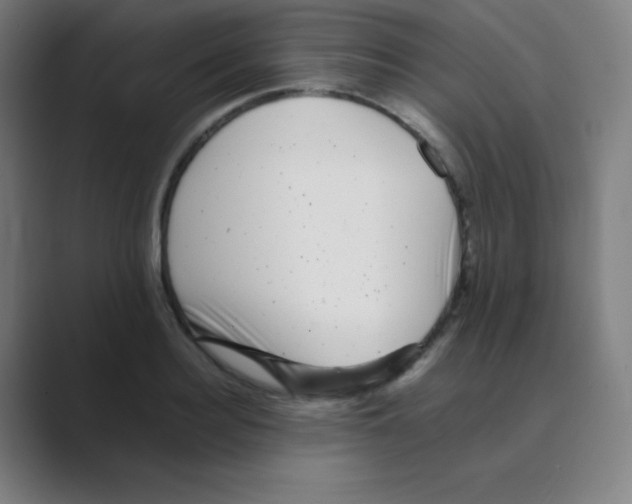 X0000088700940200706282020