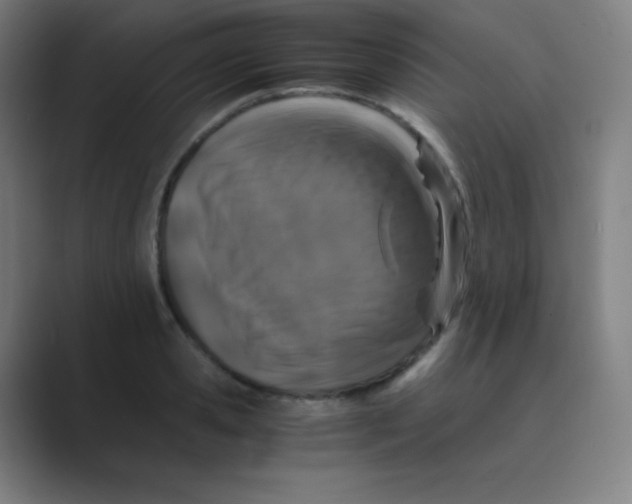 X0000088700941200706282020