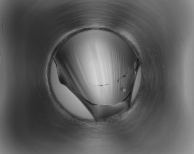 X0000088700942200706282020