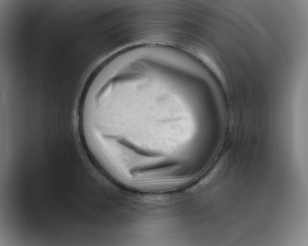 X0000088700944200706282020