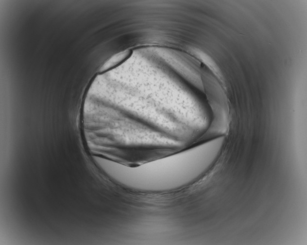 X0000088700946200706282020