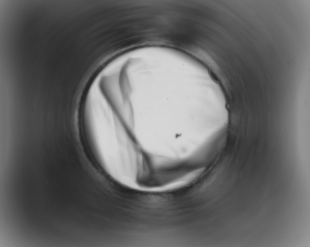 X0000088700947200706282020