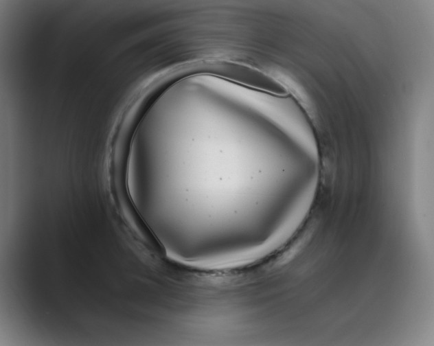 X0000088700948200706282020