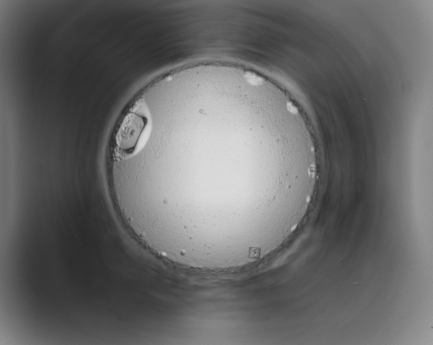 X0000088700950200706282020