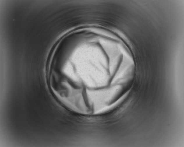 X0000088700951200706282020