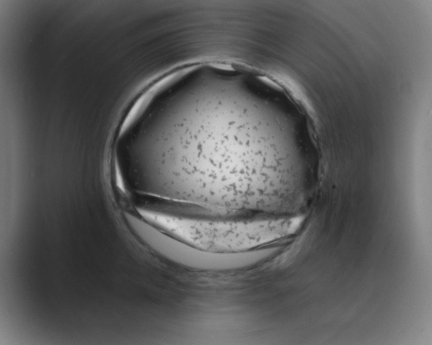 X0000088700952200706282020