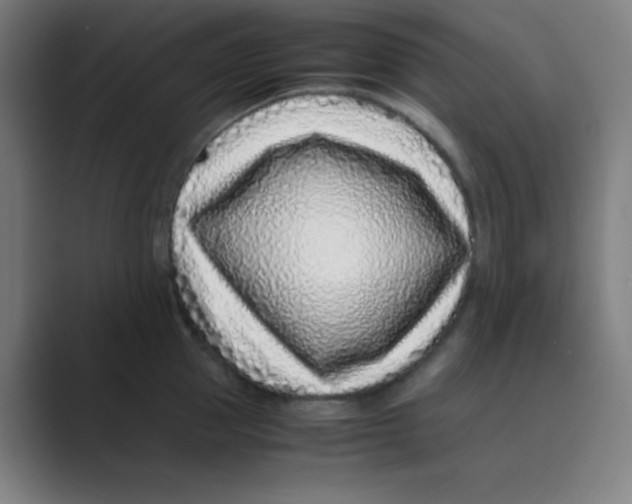 X0000088700953200706282020