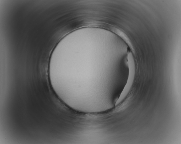 X0000088700954200706282020