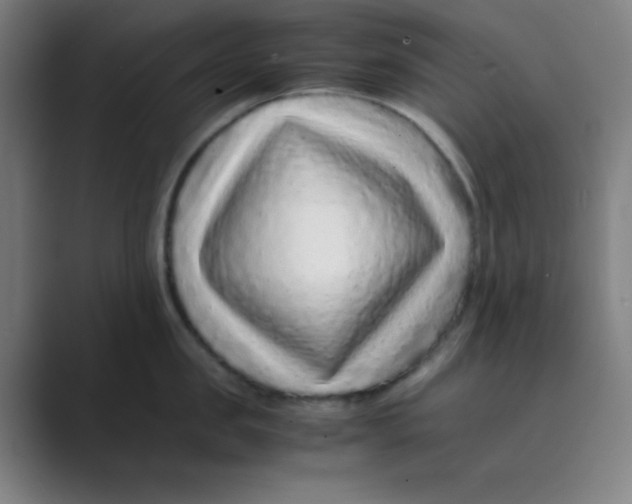 X0000088700957200706282020