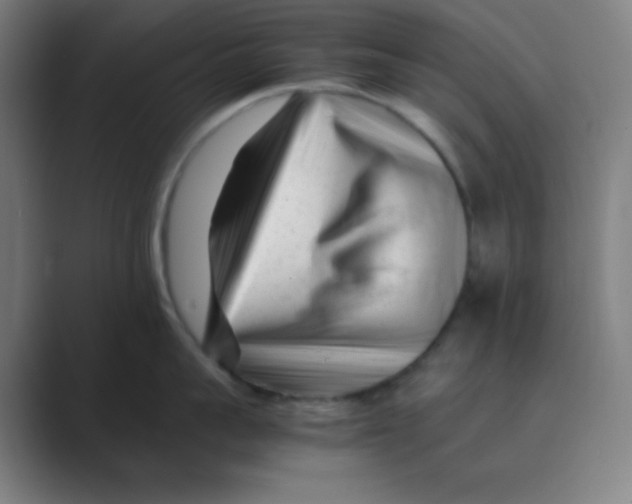 X0000088700959200706282020