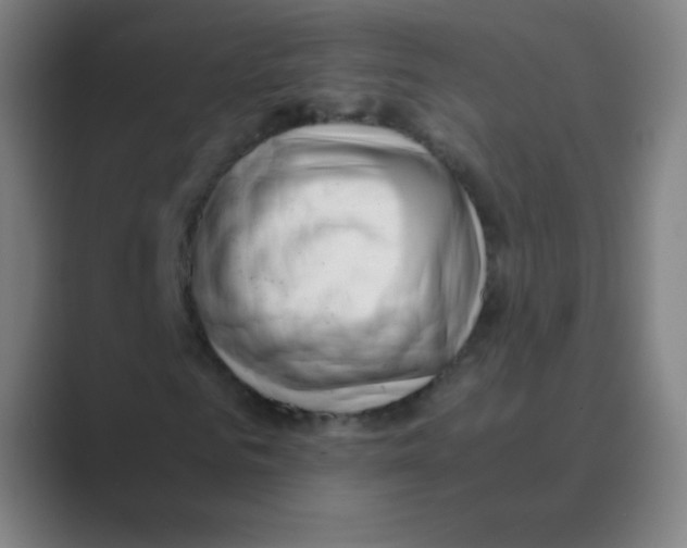 X0000088700961200706282020