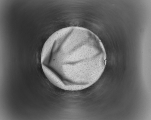 X0000088700962200706282020