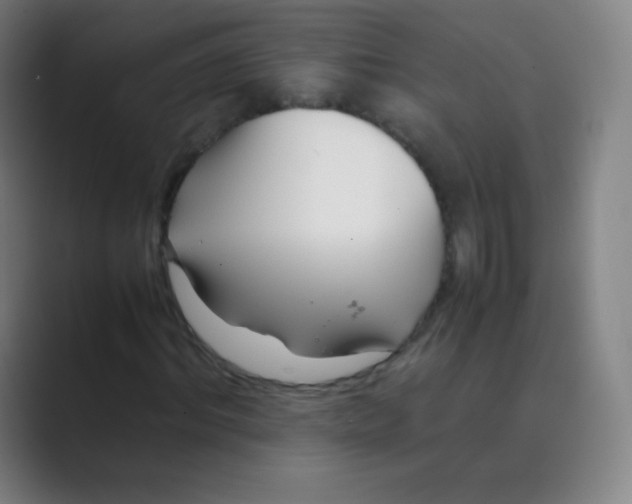 X0000088700964200706282020