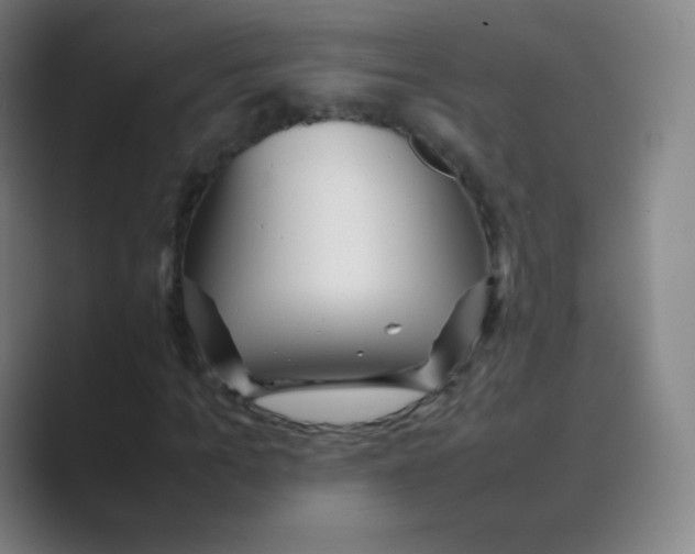 X0000088700965200706282020