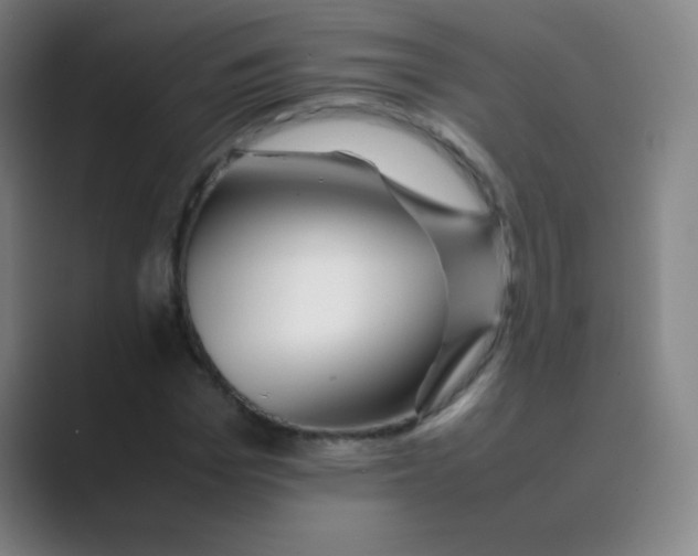 X0000088700969200706282020