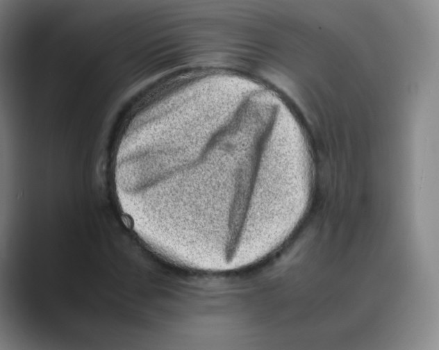 X0000088700971200706282020