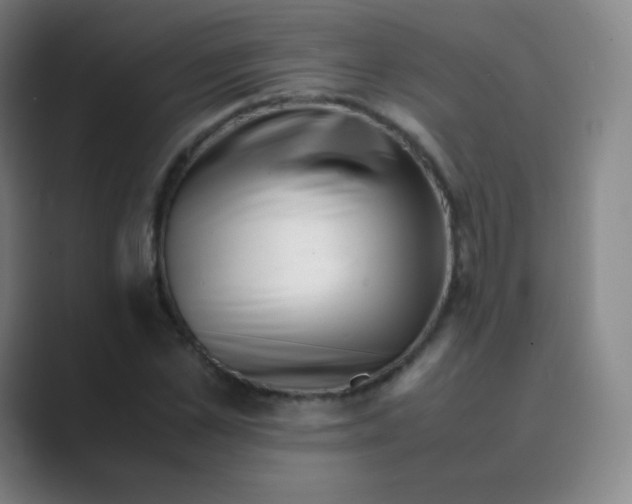 X0000088700973200706282019