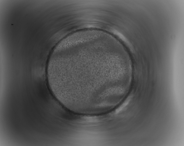 X0000088700977200706282019