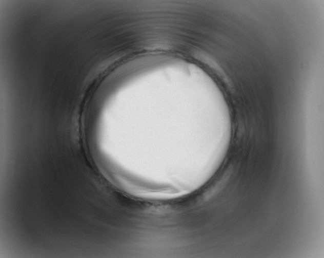 X0000088700978200706282019