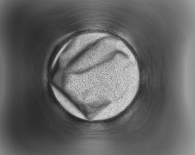 X0000088700979200706282019