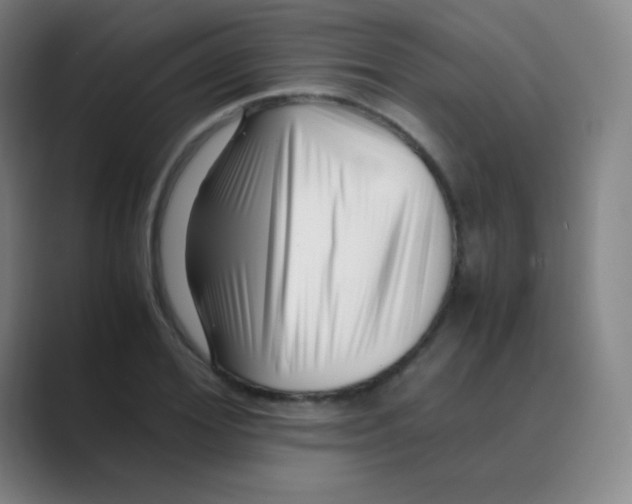 X0000088700980200706282019