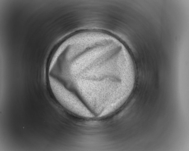 X0000088700982200706282019