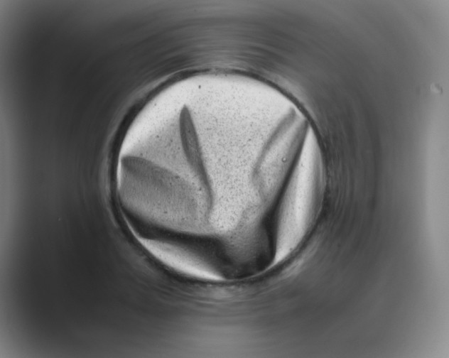 X0000088700987200706282019